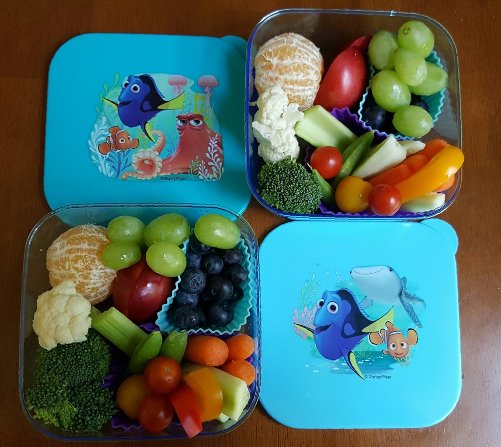 Dory_Healthy_Snack